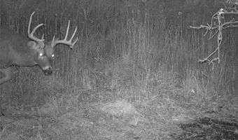 652 Nd St, Albia, IA 52531