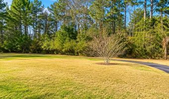 21910 Cantaline Bridge Rd, Andalusia, AL 36420