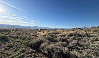 2953 Jacks Ct 71, Genoa, NV 89411