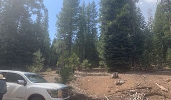 Fargo Rd, Alturas, CA 96101