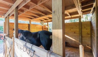 560 N LAKE PLEASANT Rd, Apopka, FL 32712