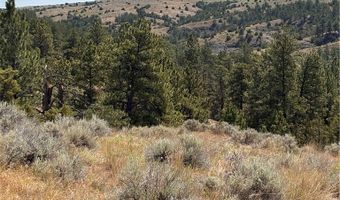 Coulee View 5, Billings, MT 59101