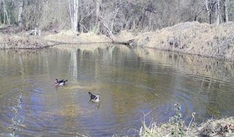 2152 Brogdon Rd, Alcolu, SC 29001