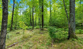 Double Bend Road, Argonne, WI 54511