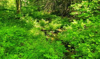 1905 Camp Munn Rd, Bradford, VT 05033