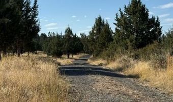 Old Coyote Ct, Alturas, CA 96101