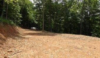 8 63ac Gravely Hill Rd, Bethpage, TN 37022