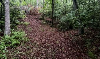Tdb Cove Creek Rd, Bastian, VA 24314