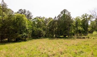 1250 County Road 405, Alton, MO 65606