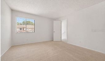 3336 GRAY FOX Cv 3336, Apopka, FL 32703