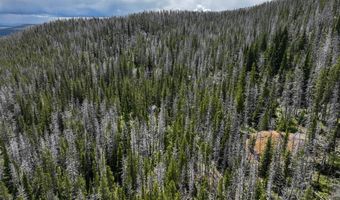 Nhn Cataract Creek, Basin, MT 59631