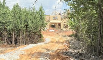Lot 2 Silver Dollar, Barnesville, GA 30204