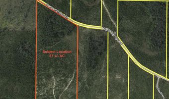 Tract # 6418 S Mattox Springs Road S1, Caryville, FL 32427