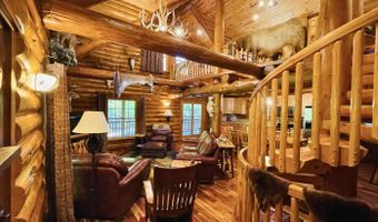 6402 Rustic Pine Trl, Alanson, MI 49706