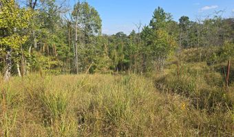 S80 Helt Rd, Antlers, OK 74525