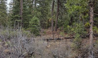 E Yak / Hwy 140 Lane lot 1, Bonanza, OR 97623
