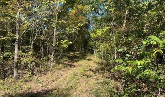 County Road 118, Annapolis, MO 63620