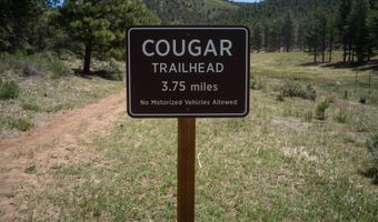Cimarron Trail lot 551, Angel Fire, NM 87710