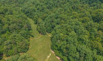 50 Hg Williams Dr, Bays, KY 41310