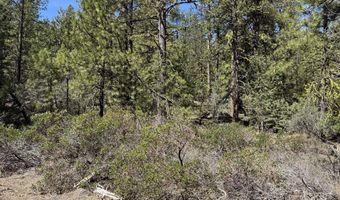Horned Owl Way 385461, Bonanza, OR 97623