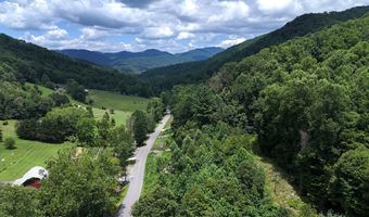 TBD Paint Fork Rd, Barnardsville, NC 28709