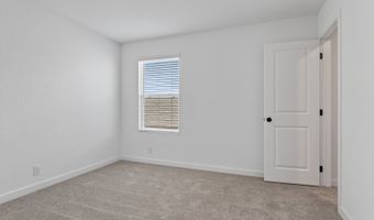 147 Peeps Ct, Adkins, TX 78101