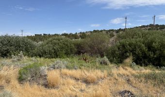 Old Ranch Road unit 1 1, Gardnerville, NV 89410