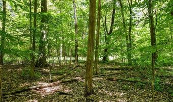2905 N Lake Pleasant Rd, Arcadia, MI 48412