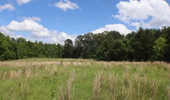 Vine Drive, Brandon, MS 39047