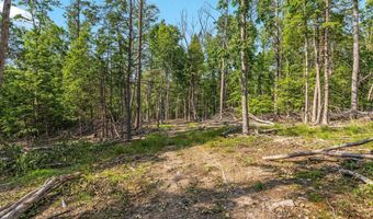 417 MALLARD Dr, Basye, VA 22810