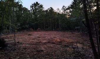 Happy Trails Lane lot 8, Appomattox, VA 24522