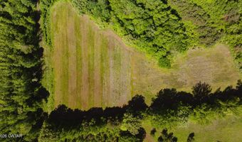 Beech Bluff Road, Beech Bluff, TN 38313