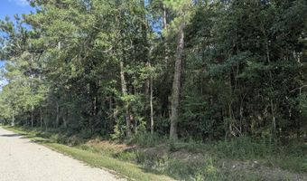 W. Newton Street, Bay St. Louis, MS 39520
