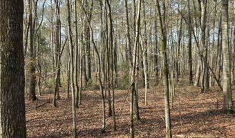 Yatesville Road, Barnesville, GA 30204