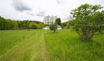 3090 Morgan Hollow Rd, Allegany, NY 14706