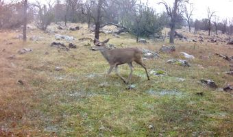 Lot 20 Ash Creek Road, Anderson, CA 96007