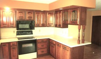 103179 Holton Rd, Abbotsford, WI 54405