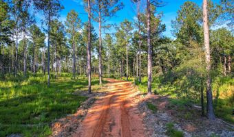 575 Rabbit Pen Dr, Appling, GA 30802