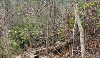 Lot 46 Ridge View Drive, Andrews, NC 28901