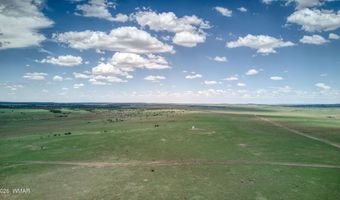 67 66 59 ACR N3377, Concho, AZ 85924