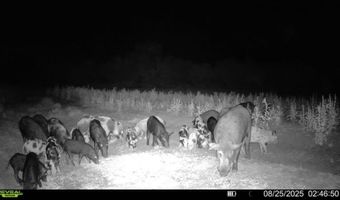 1121 Other, Alice, TX 78342