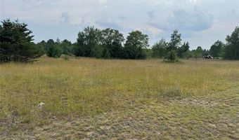 166 Westwood Rd NE, Alden, MI 49621