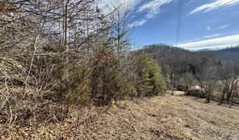 1135 Ned Clark Rd, Bean Station, TN 37708