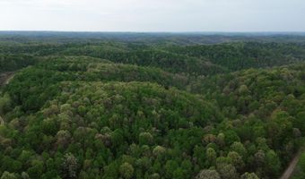 1271 A Tunnel Ridge Rd, Argillite, KY 41121