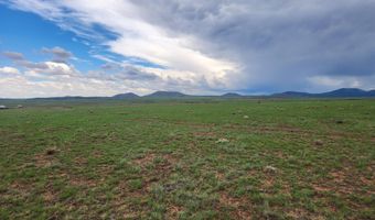 67 66 59 ACR N3377, Concho, AZ 85924