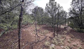 746 Nm Hwy 612 Hwy, Bluewater, NM 87323