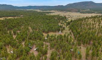 County Rd 2121, Alpine, AZ 85920