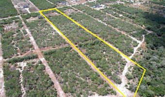 195 CR 1461 Lot 8, Alice, TX 78332