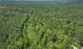 00 DOUGLAS Rd 4, Beaverton, AL 35544