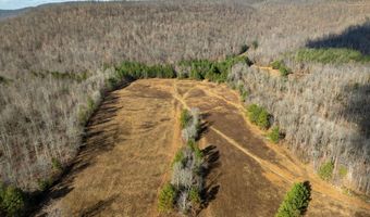 700 Acres Puncheon Creek Ln, Allred, TN 38542